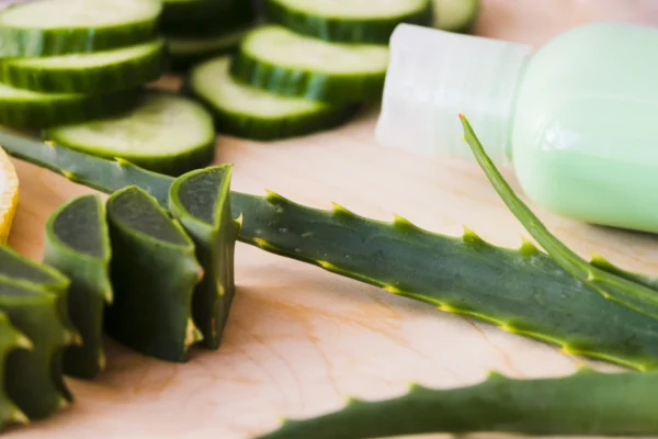 Beneficios del Aloe Vera en Costa Rica