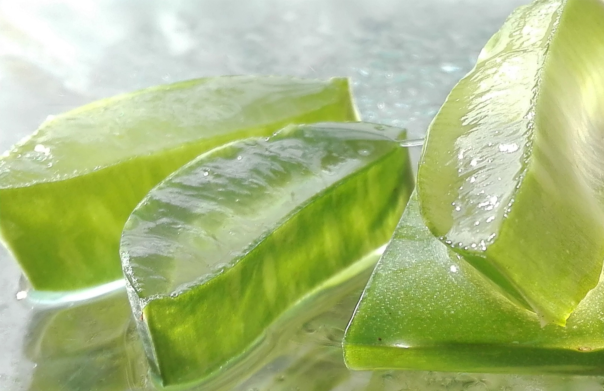 aloe-vera-puro